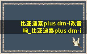 比亚迪秦plus dm-i改音响_比亚迪秦plus dm-i续航